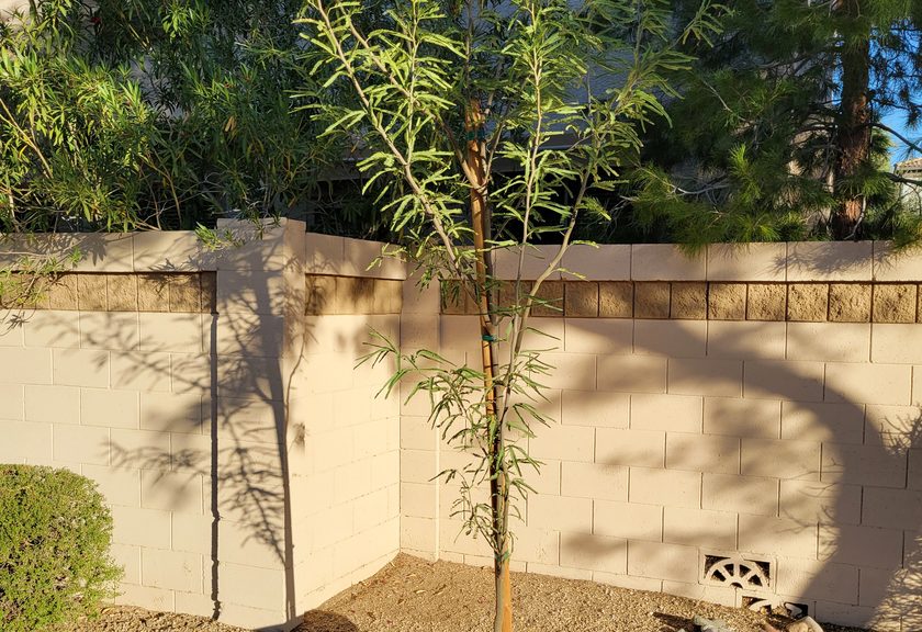 Corner of a tan block garden wall with a split-face accent course and a vent block near the ground
