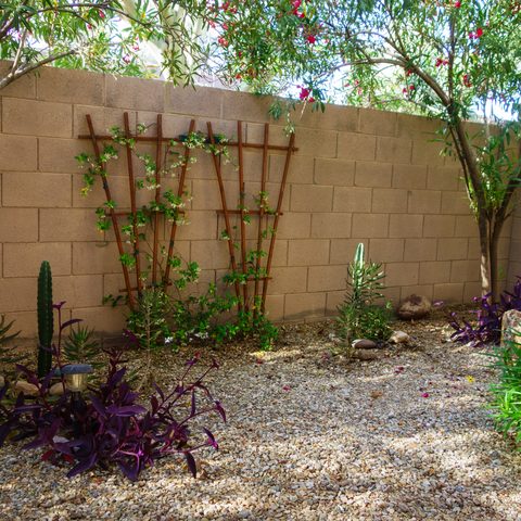 Tan block wall behind a gravel garden with wooden trellises, cactus and purple-leaved plants